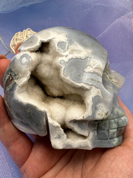 Druzy Moss Agate Skull