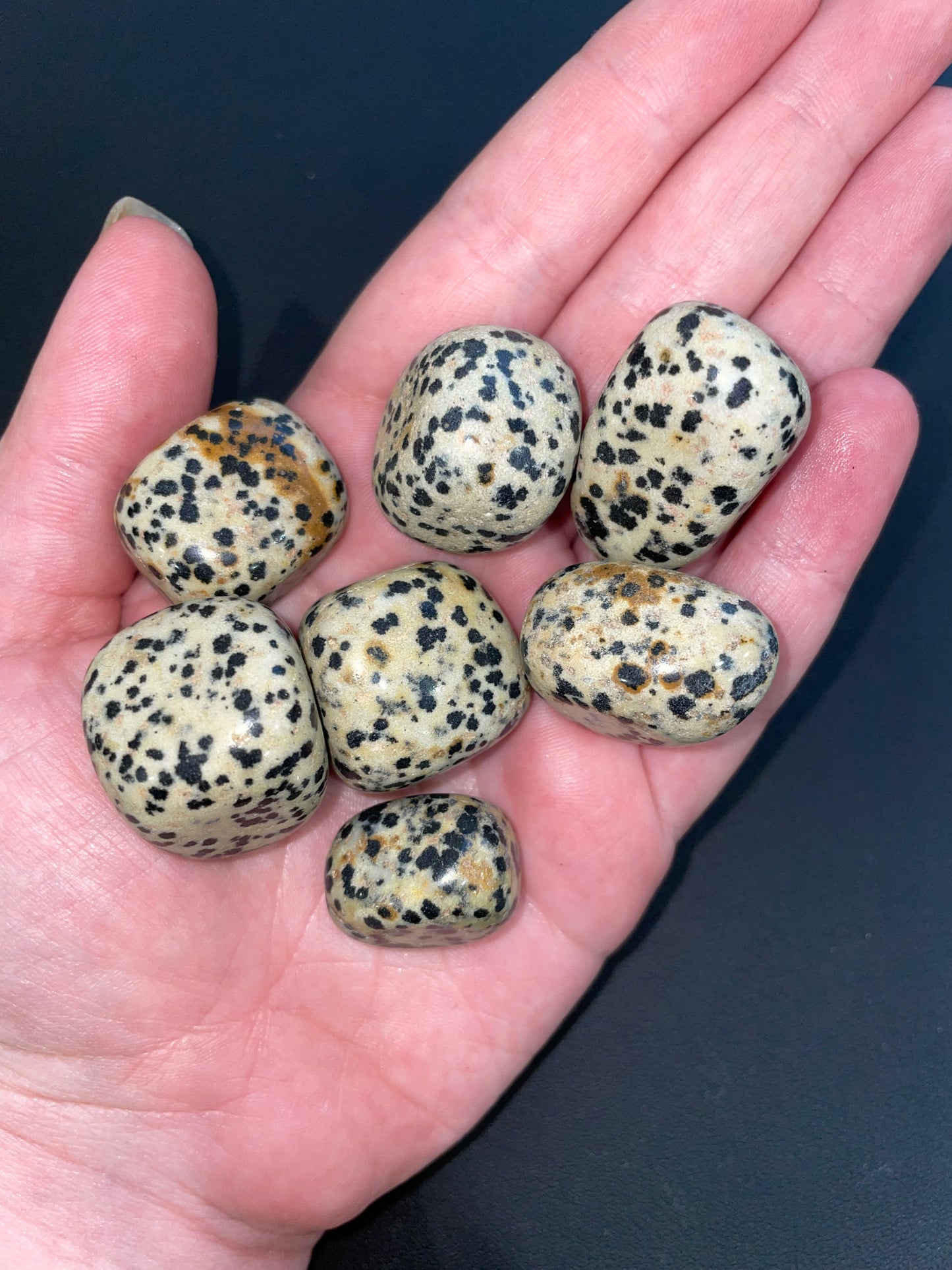 Dalmation jasper tumbles