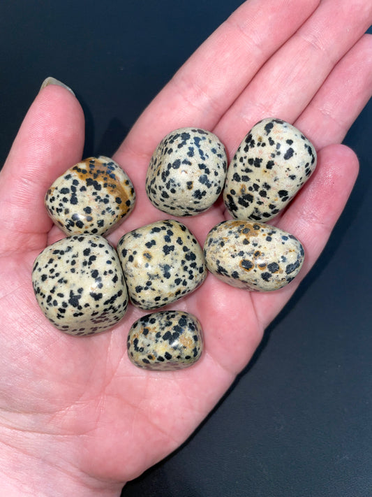 Dalmation jasper tumbles