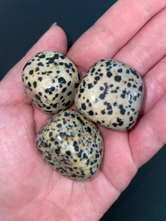 Dalmation jasper tumbles