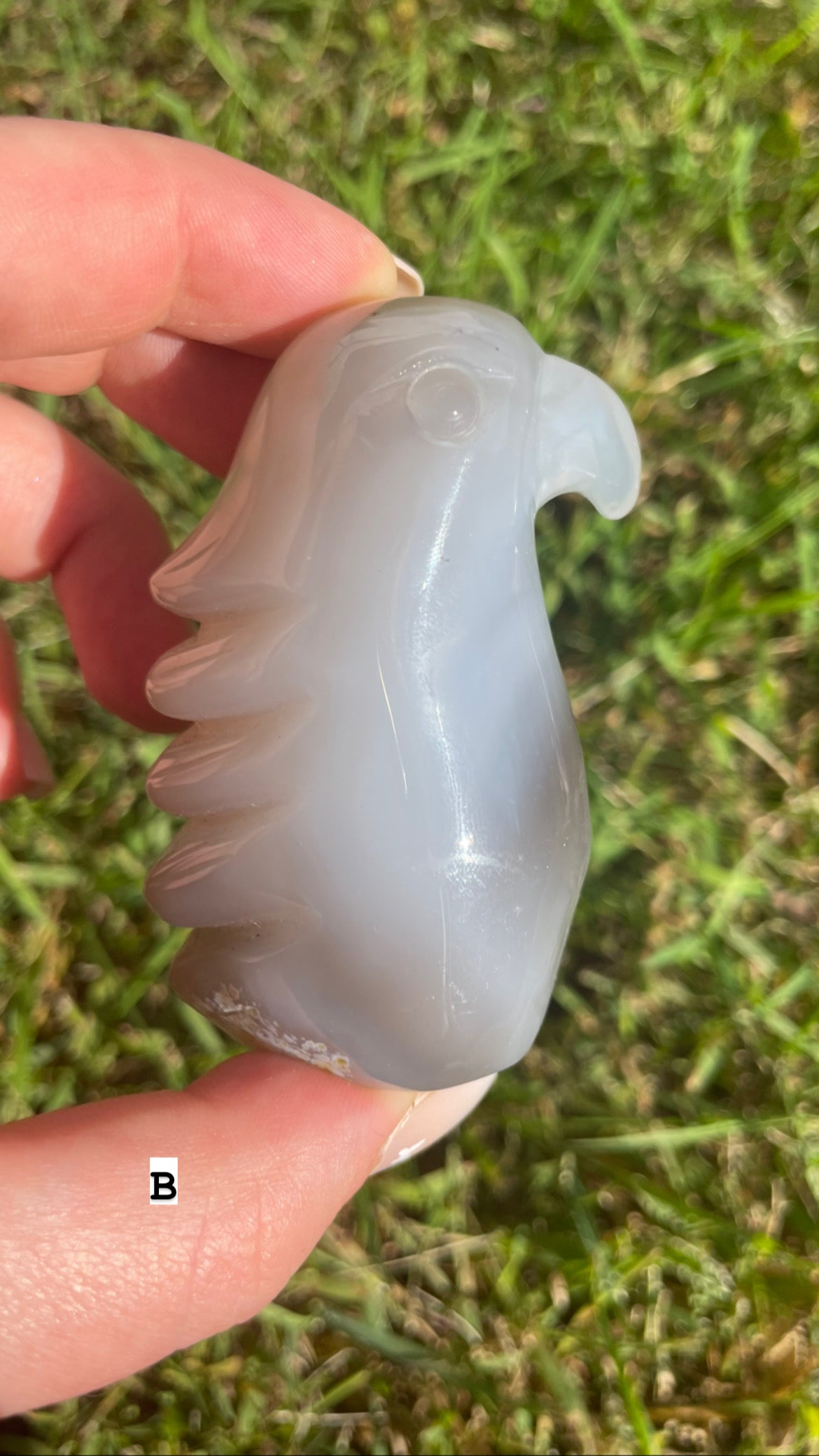 Agate eagle