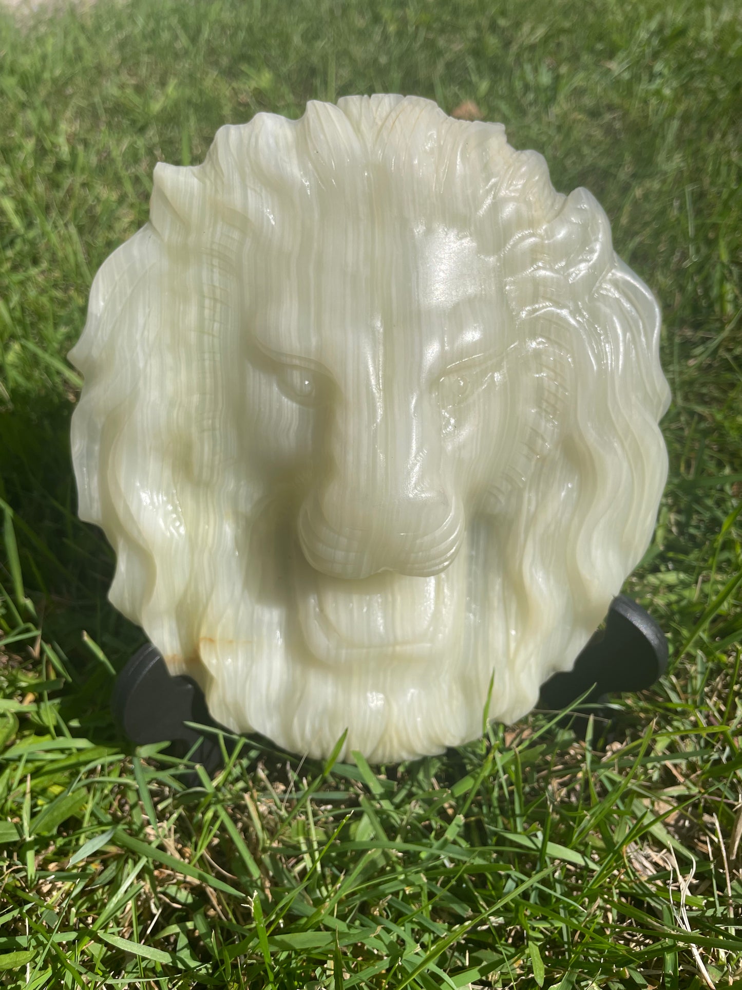 Onyx lion head with stand