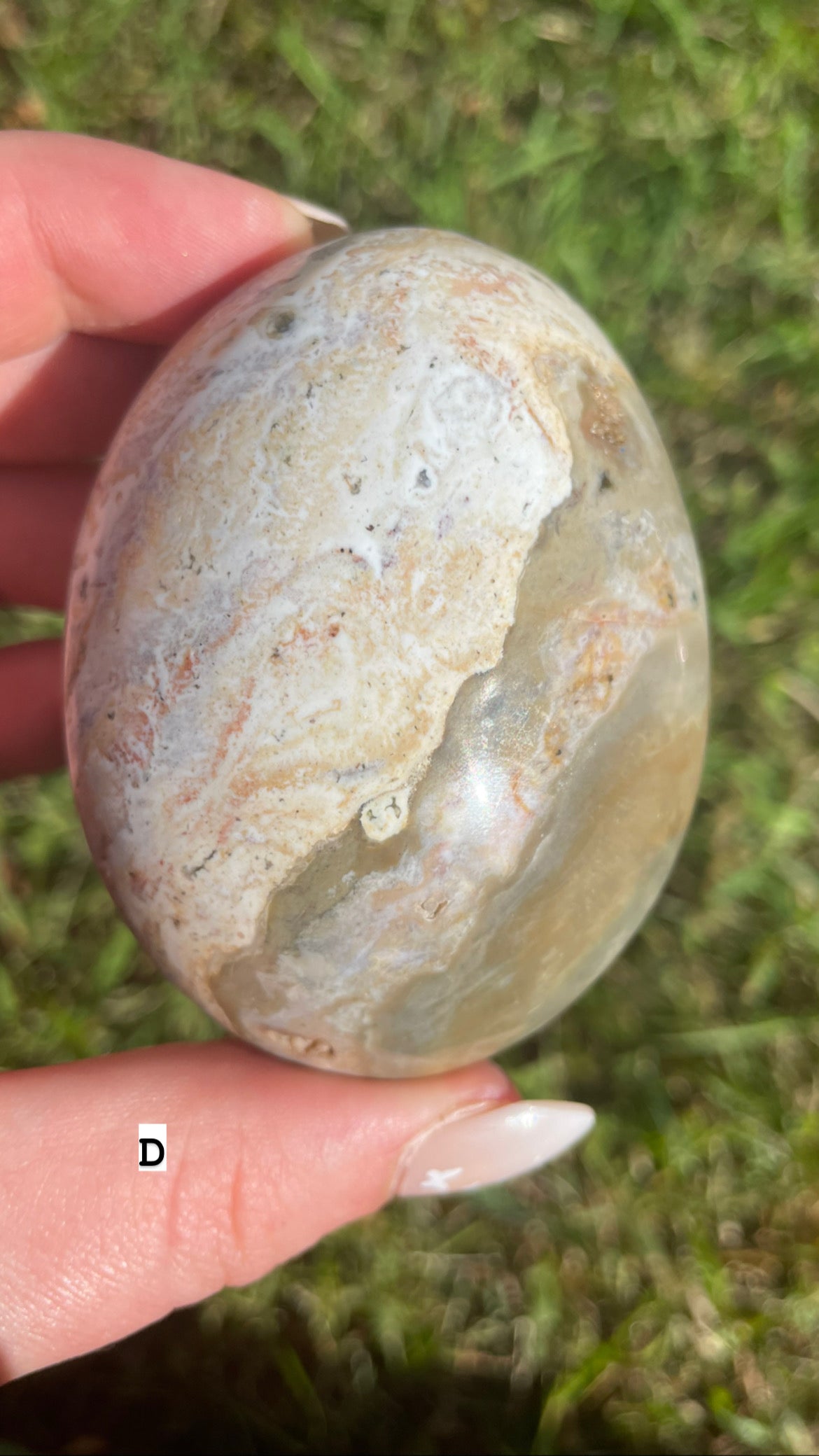 Ocean jasper palm stones