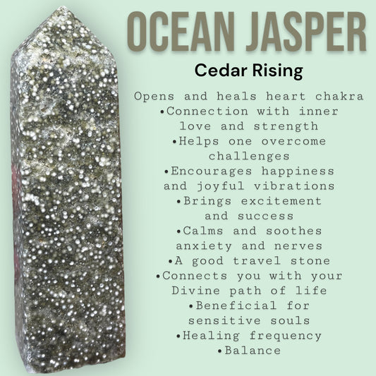 Orbicular Ocean Jasper