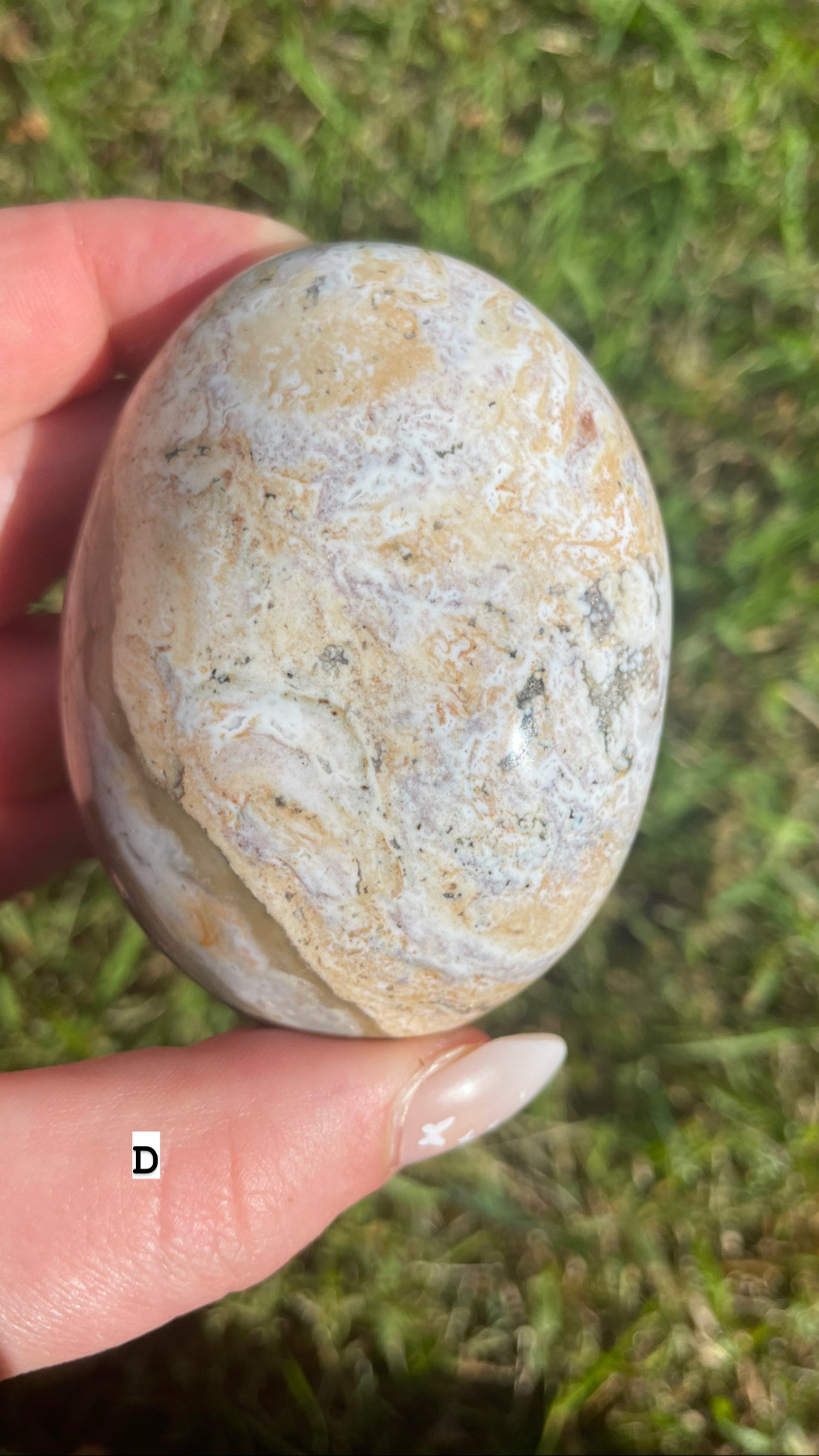 Ocean jasper palm stones