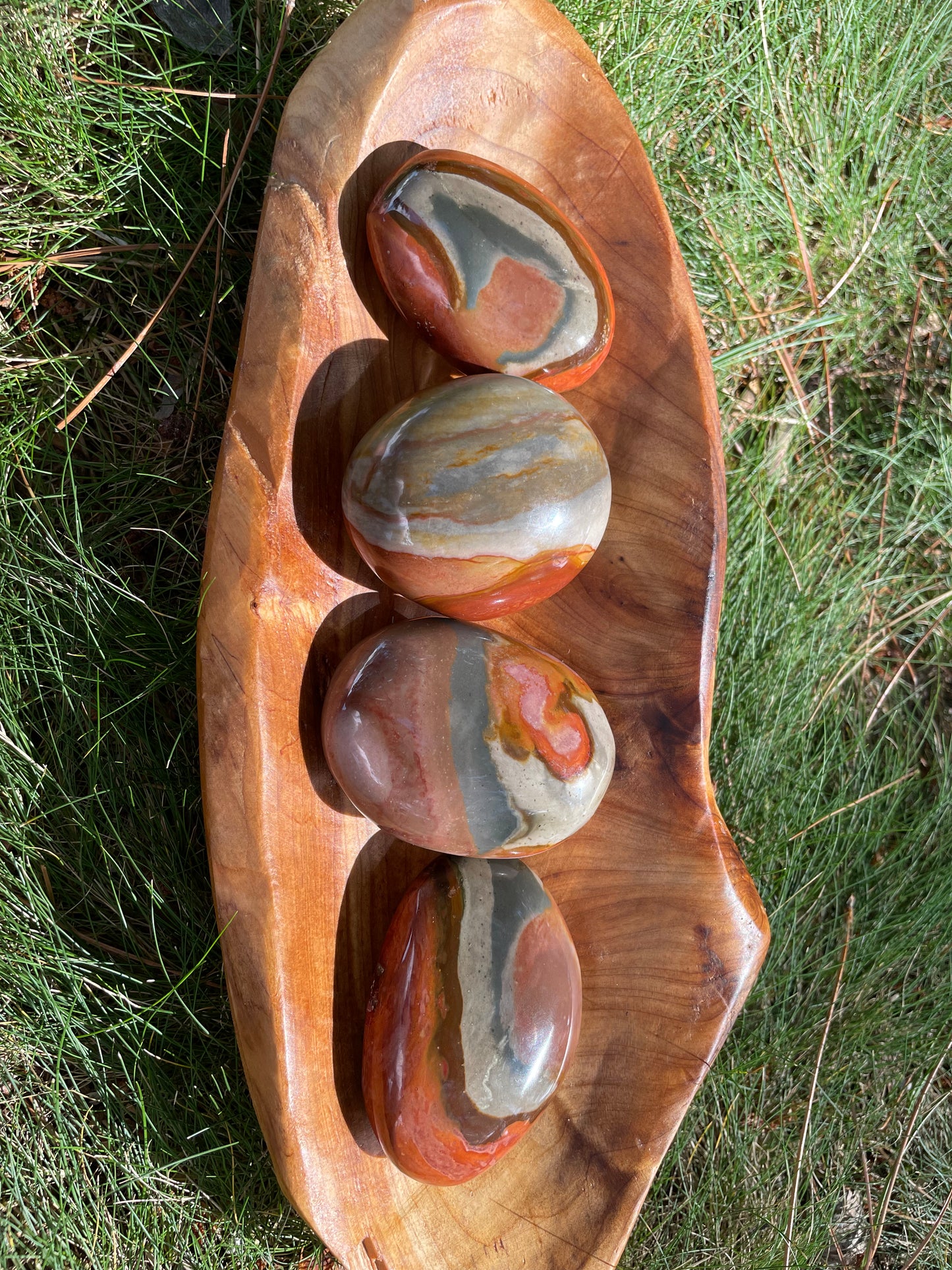 Polychrome jasper plams