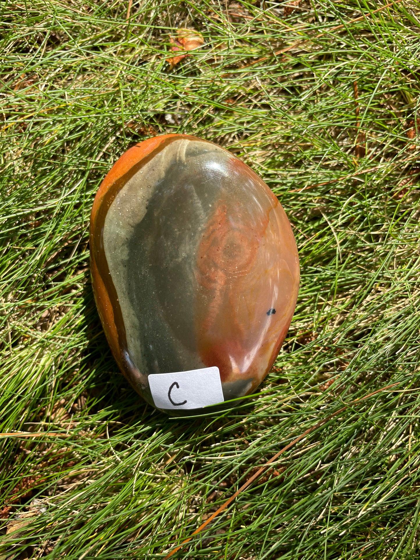 Polychrome jasper plams