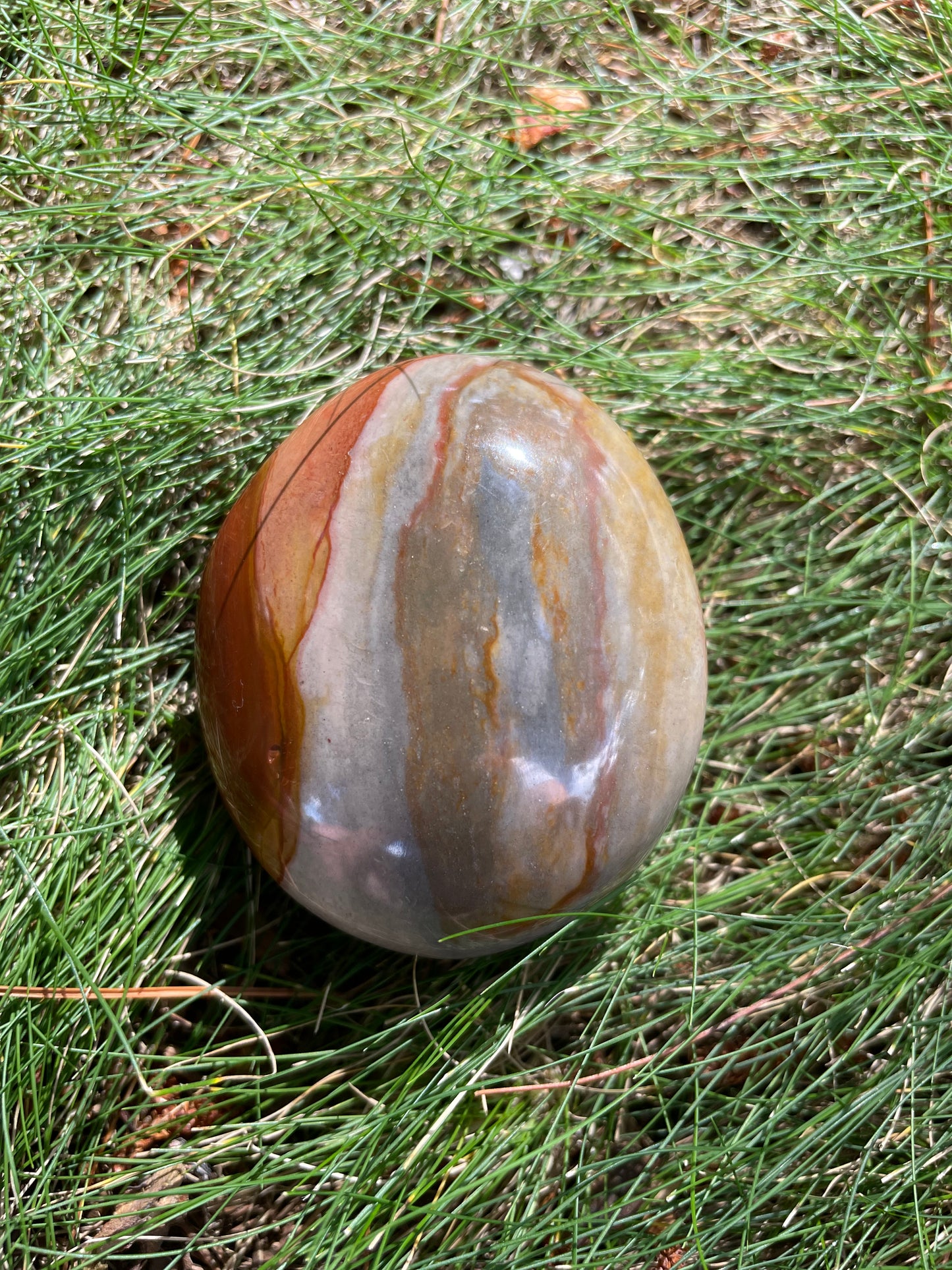 Polychrome jasper plams