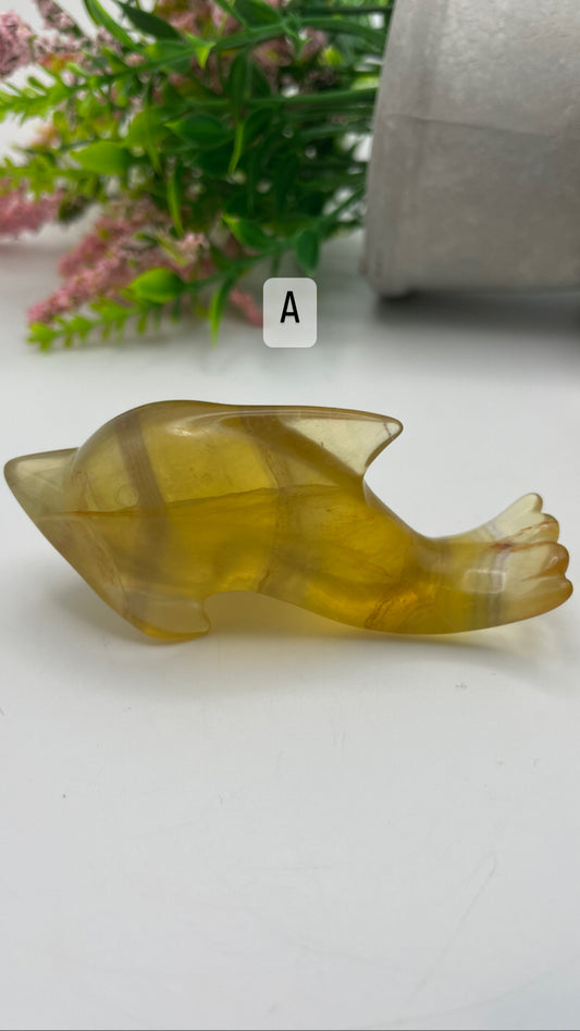 Yellow fluorite dolphin