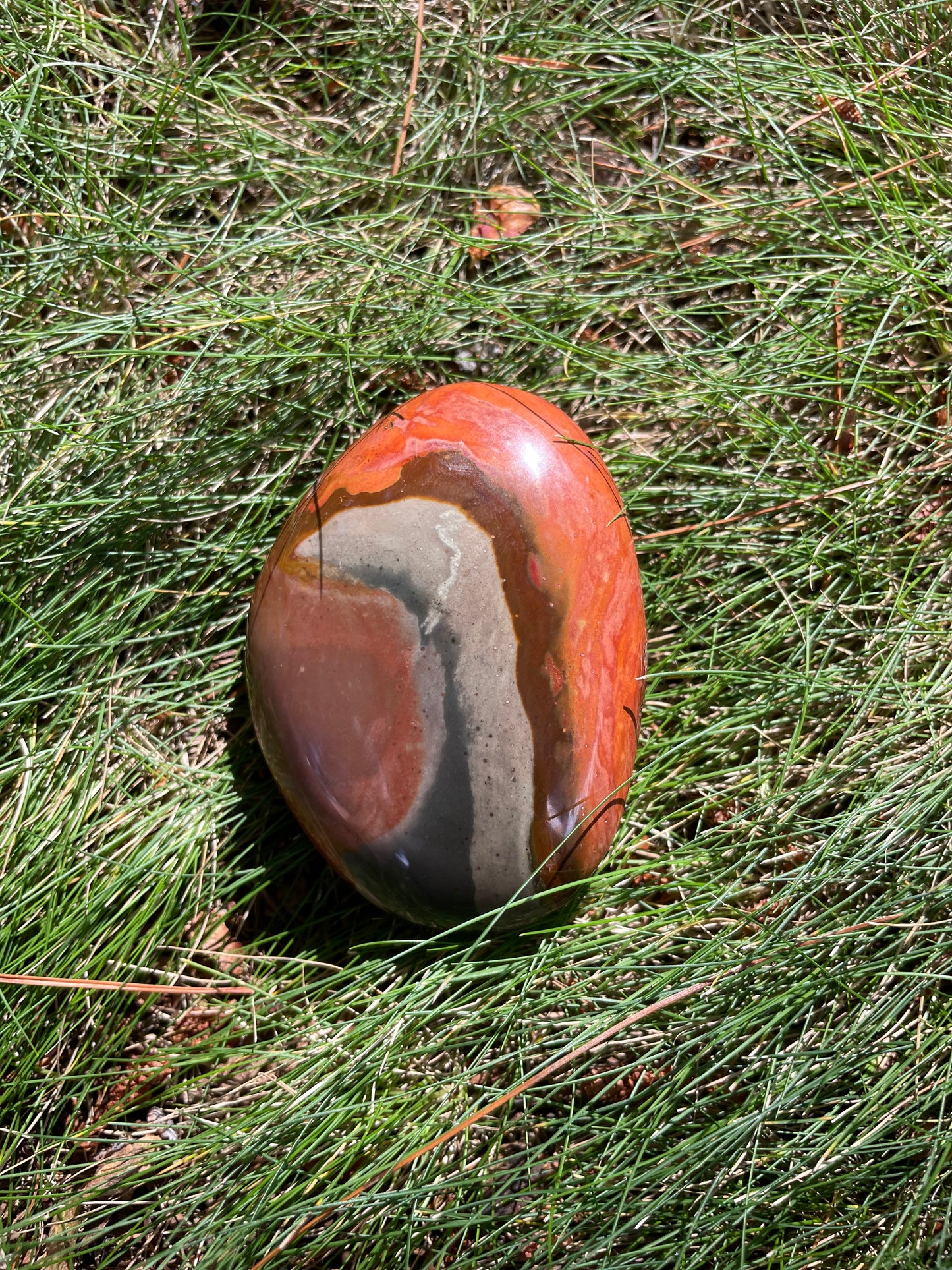 Polychrome jasper plams