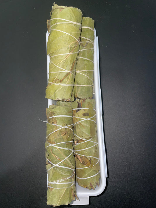 eucalyptus herb bundle